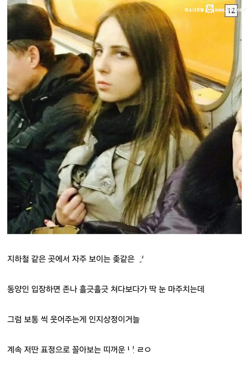 디시인이 말하는 인종차별 유형