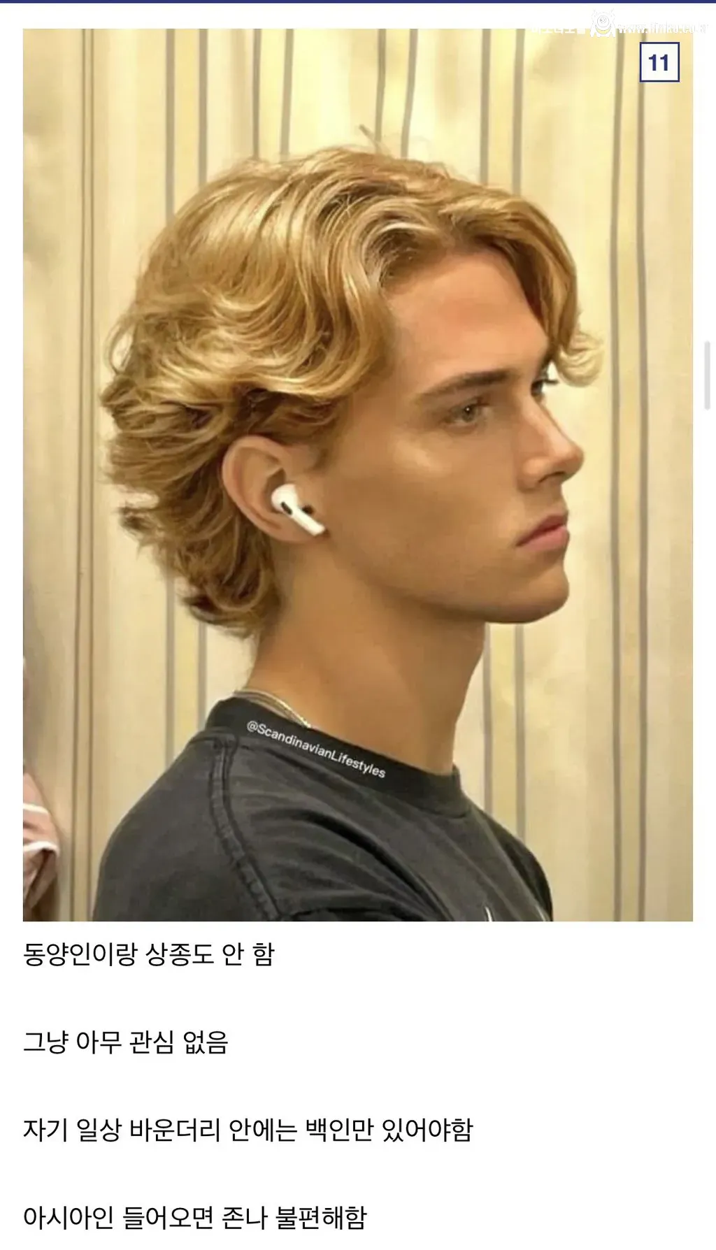 디시인이 말하는 인종차별 유형