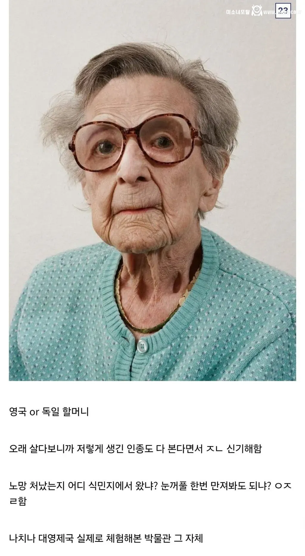디시인이 말하는 인종차별 유형