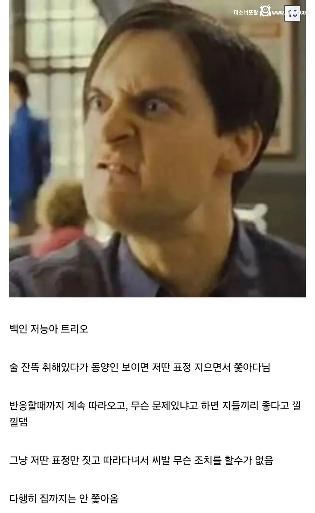 디시인이 말하는 인종차별 유형