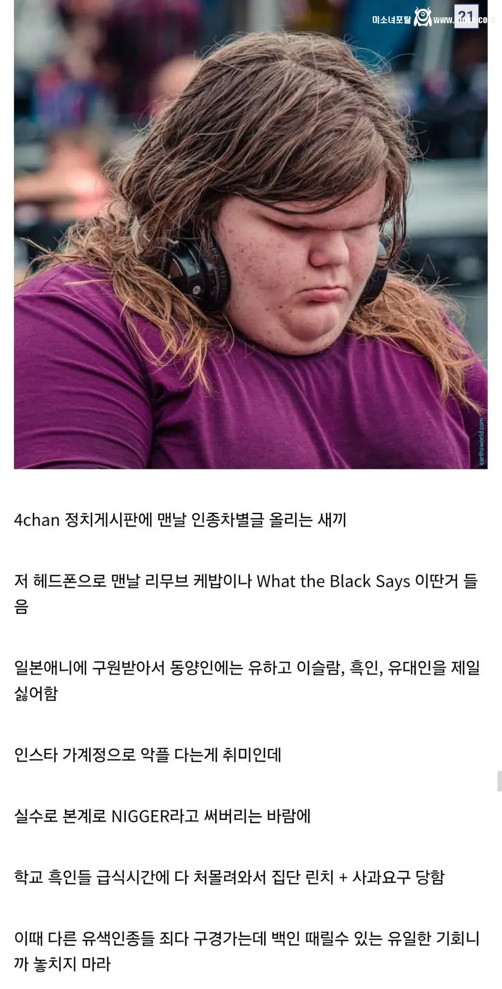 디시인이 말하는 인종차별 유형