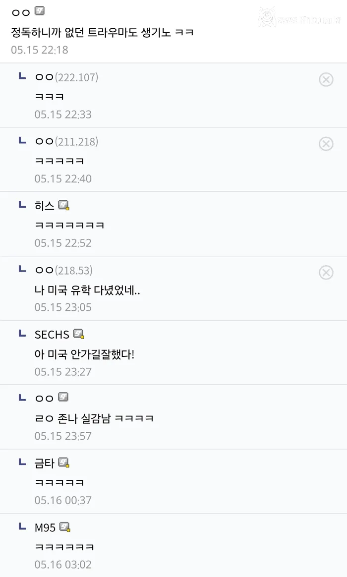 디시인이 말하는 인종차별 유형