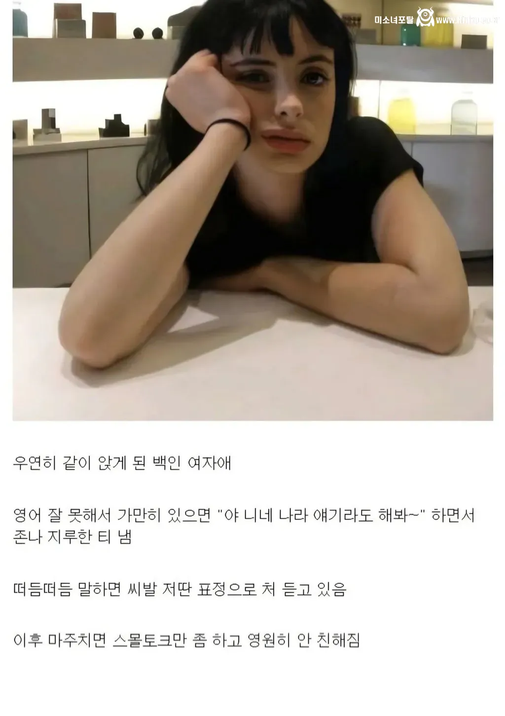 디시인이 말하는 인종차별 유형