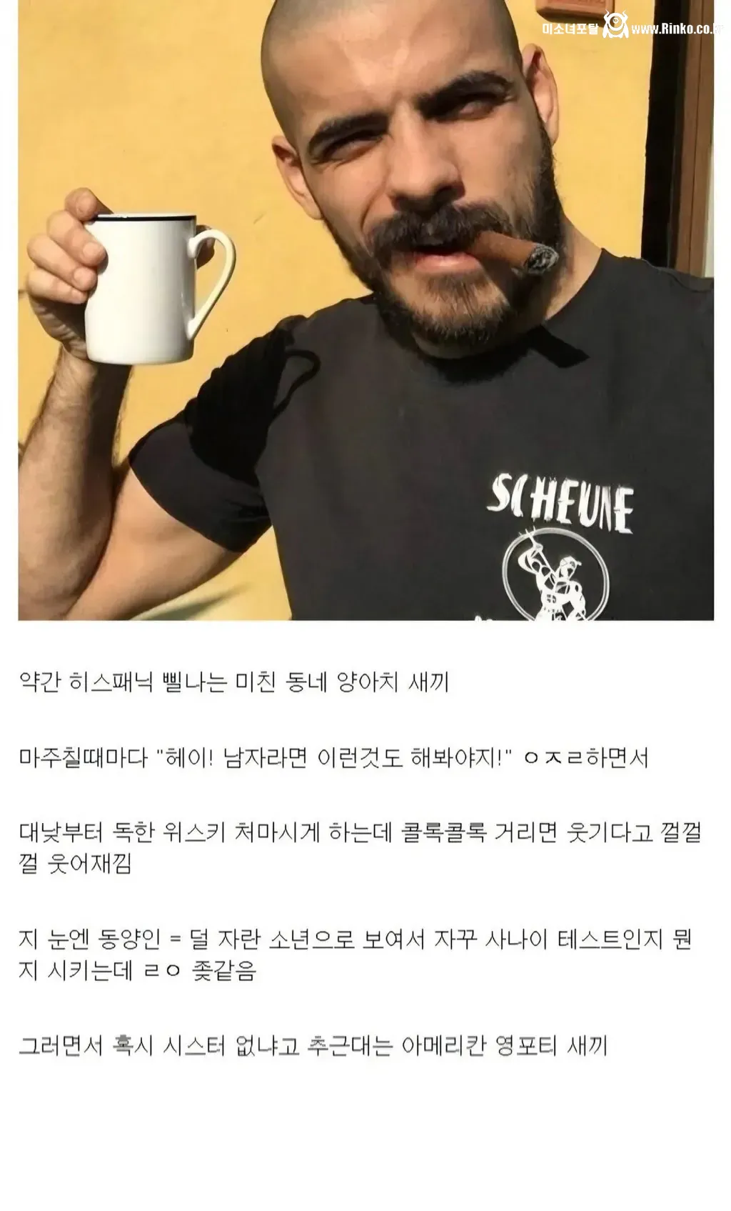 디시인이 말하는 인종차별 유형