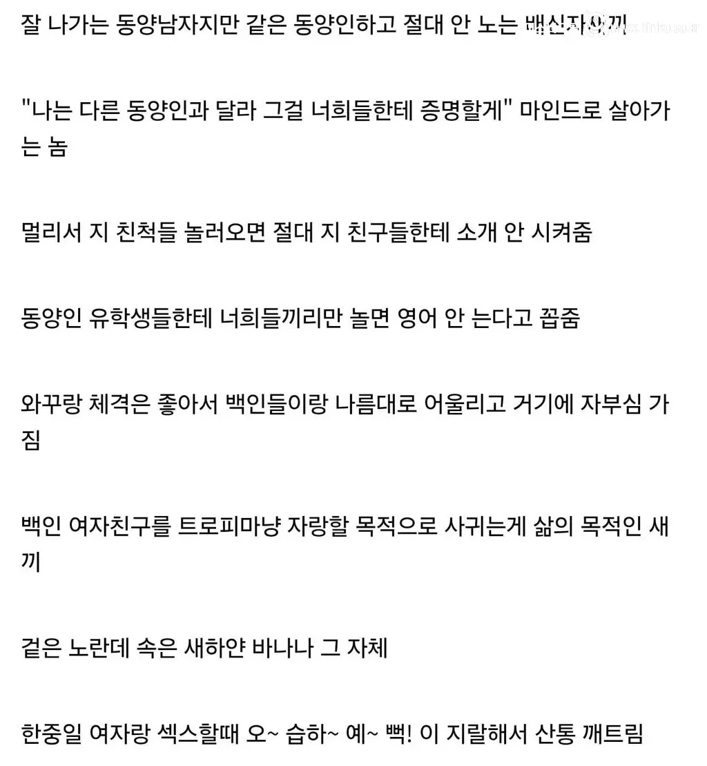 디시인이 말하는 인종차별 유형