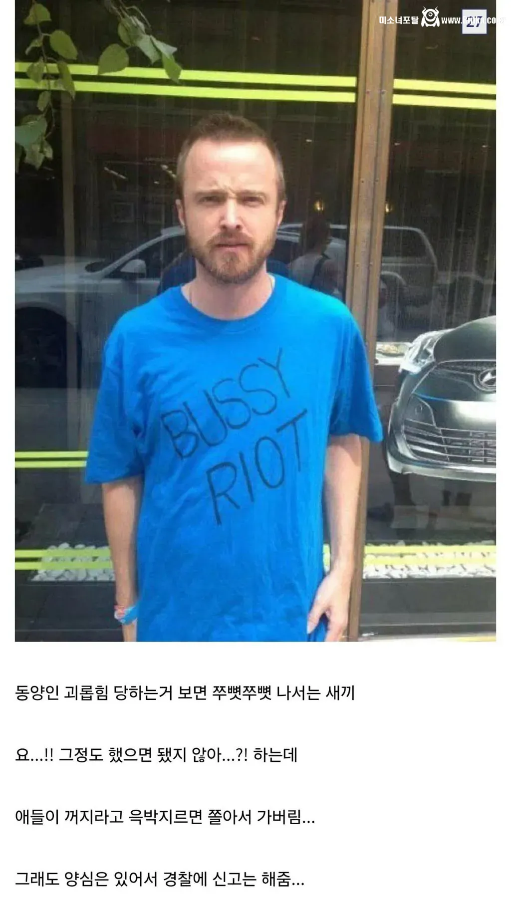 디시인이 말하는 인종차별 유형