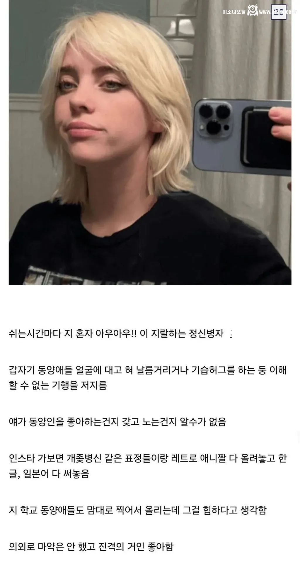 디시인이 말하는 인종차별 유형