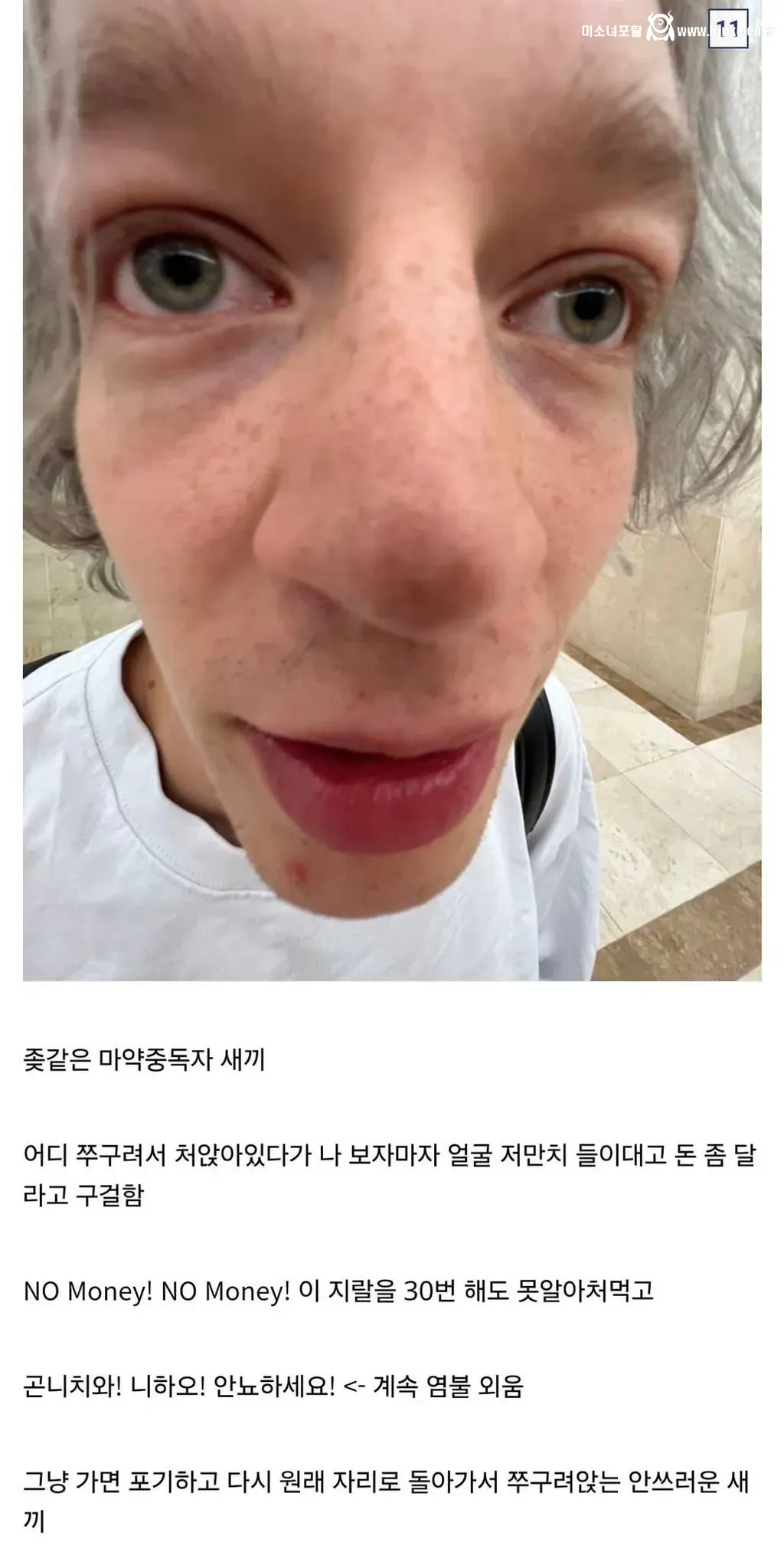 디시인이 말하는 인종차별 유형