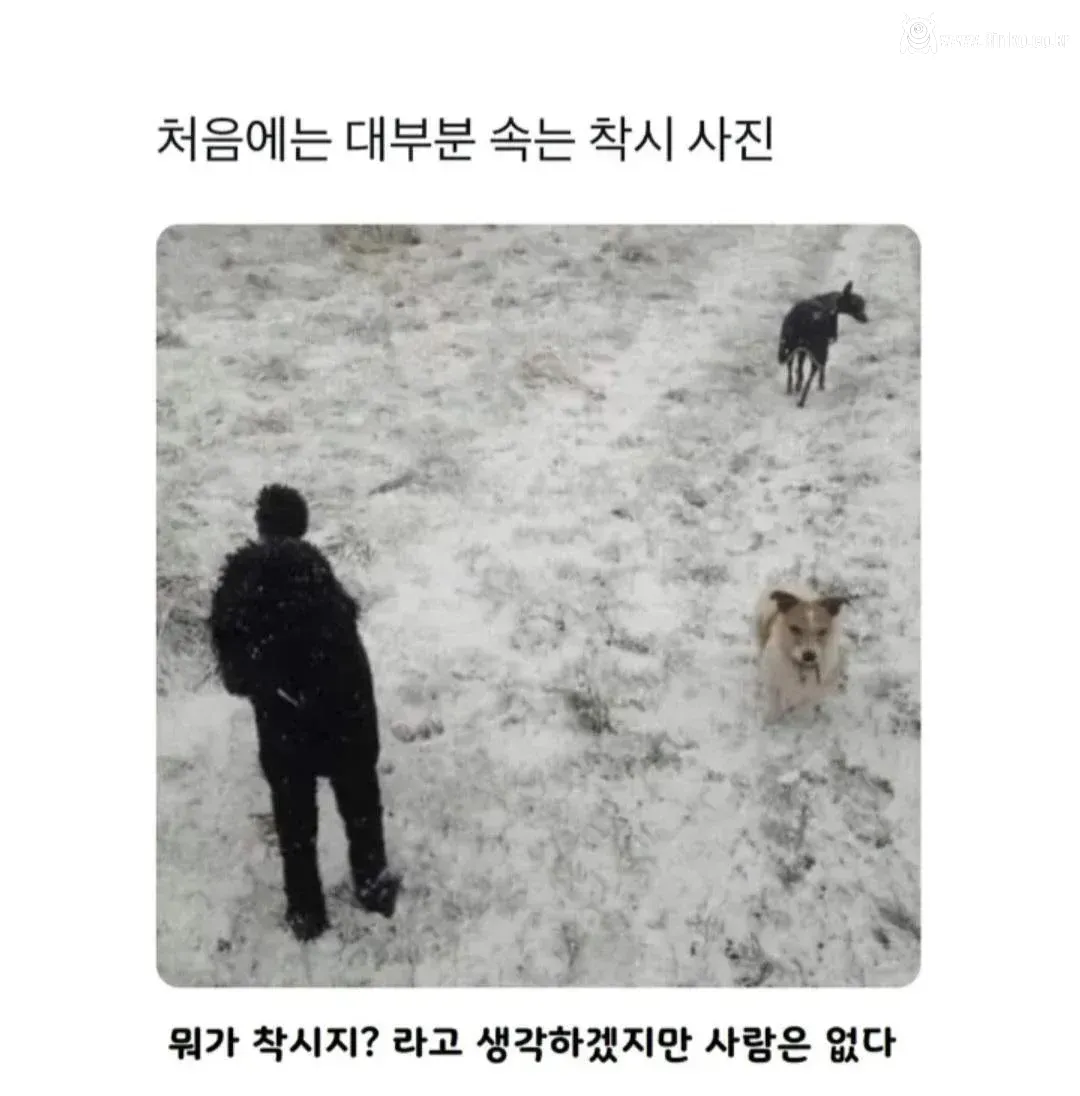 대부분은 속는다는 착시 사진