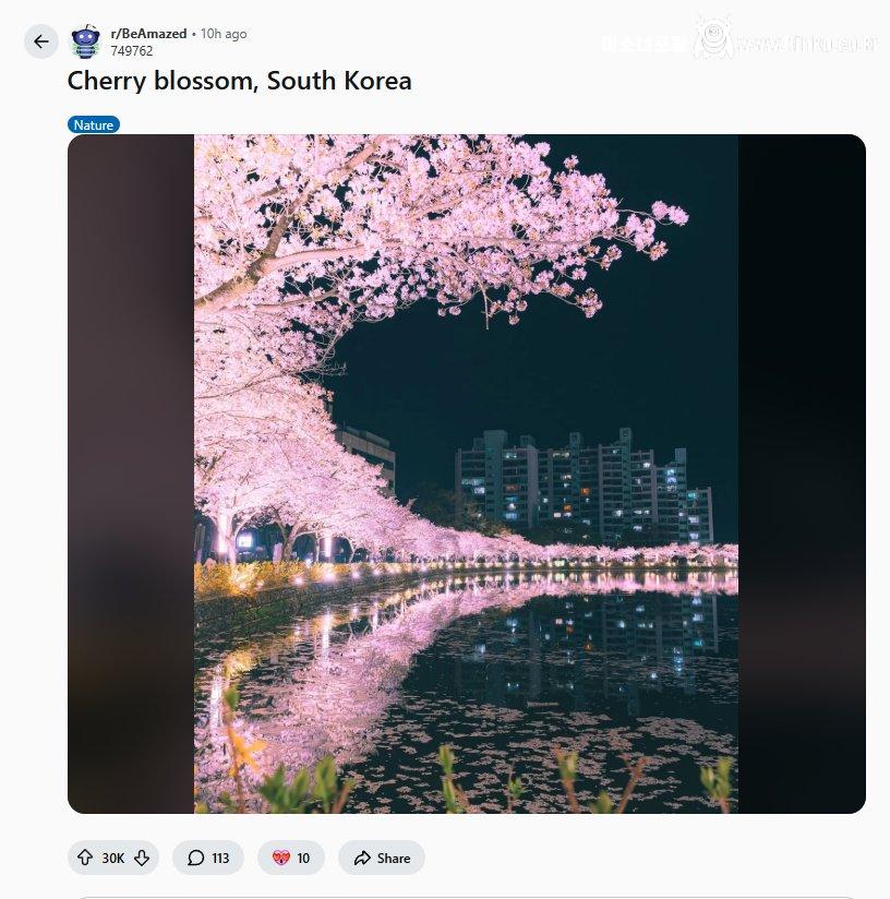 레딧에서 핫한 한국 사진 한 장