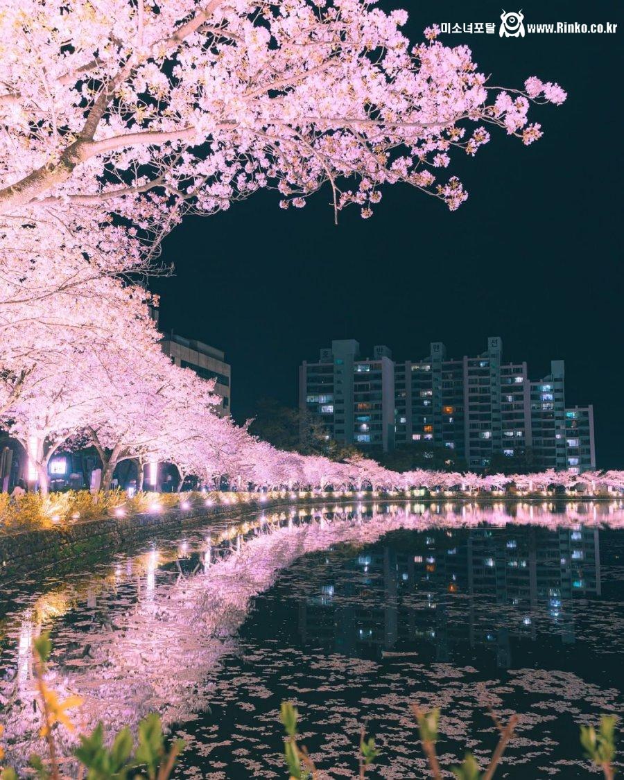 레딧에서 핫한 한국 사진 한 장