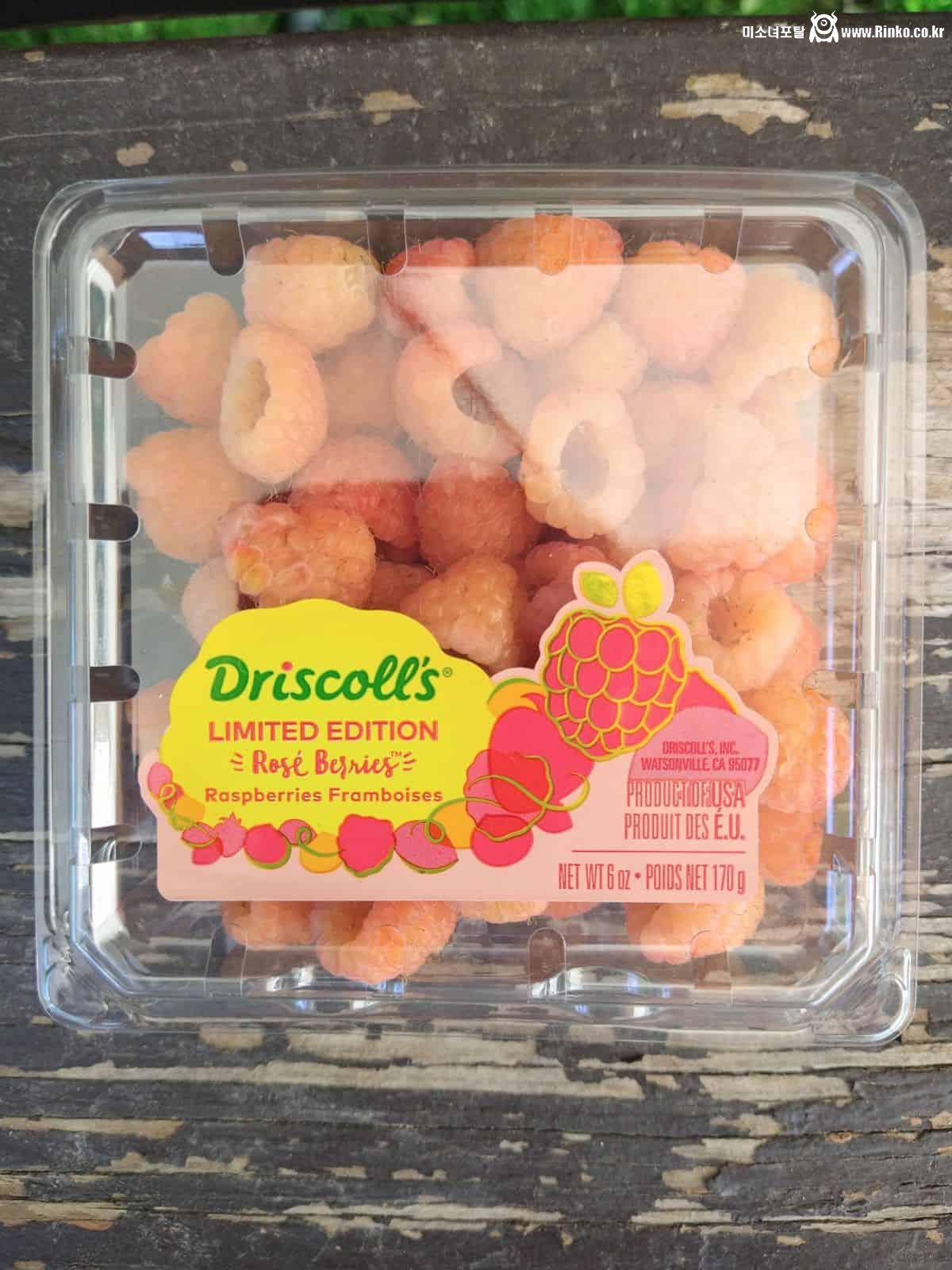 다양한 유럽 산딸기 색깔들