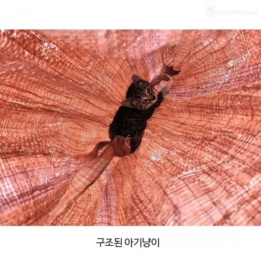 뮤지컬 공연중 소음 논란 사과문과 범인 공개하라는 댓글