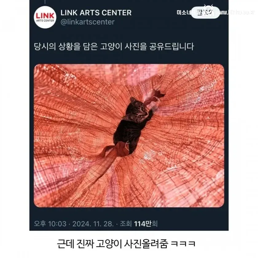 뮤지컬 공연중 소음 논란 사과문과 범인 공개하라는 댓글