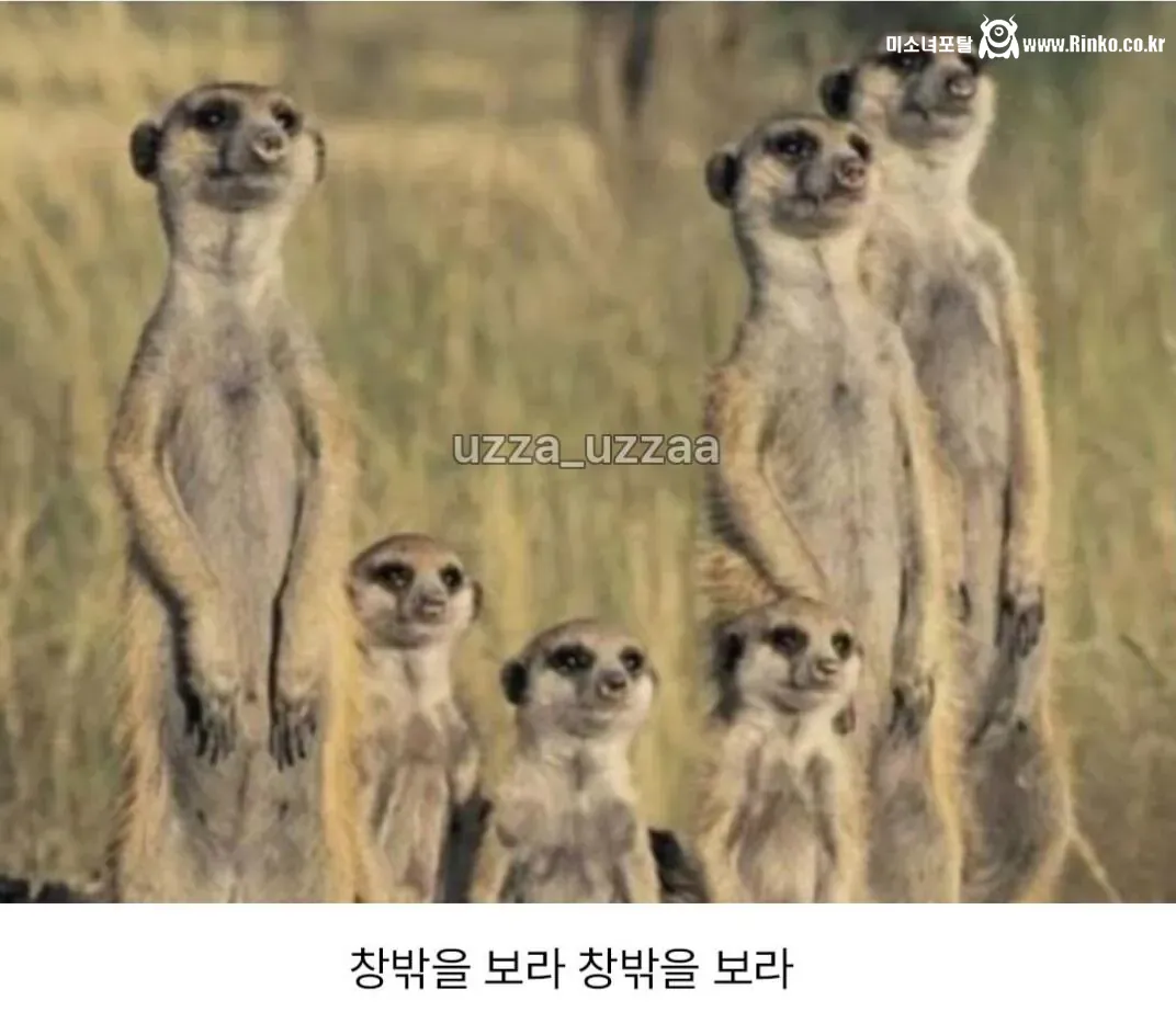 한국 지하철의 치명적인 단점 甲