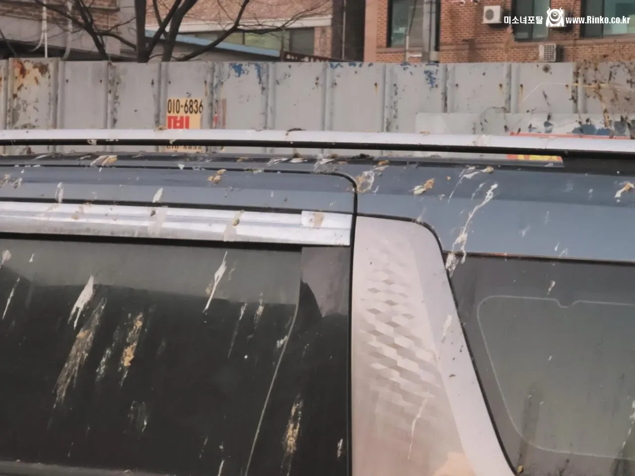 길거리에서 본 방치 차량 레전드