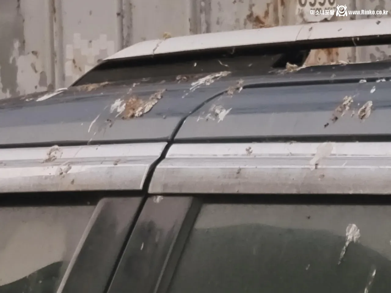 길거리에서 본 방치 차량 레전드