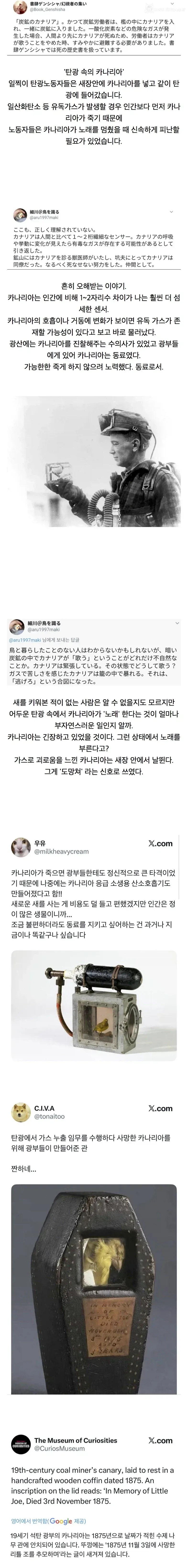 훌쩍훌쩍 19세기 광부들의 동료