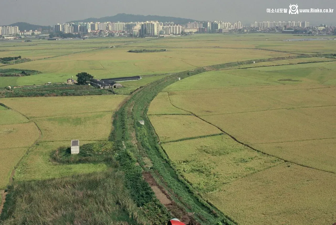 1999년 세기말 서울의 모습들