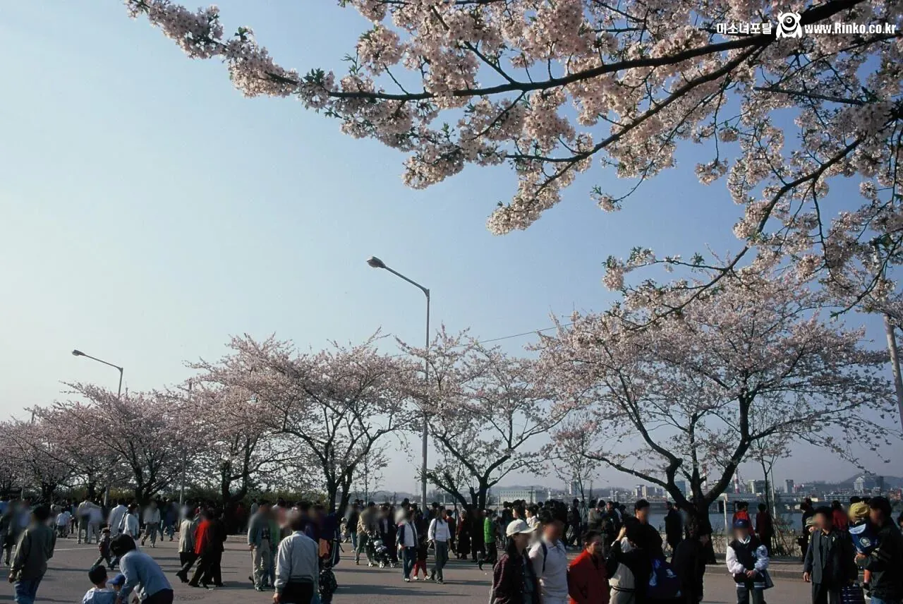 1999년 세기말 서울의 모습들