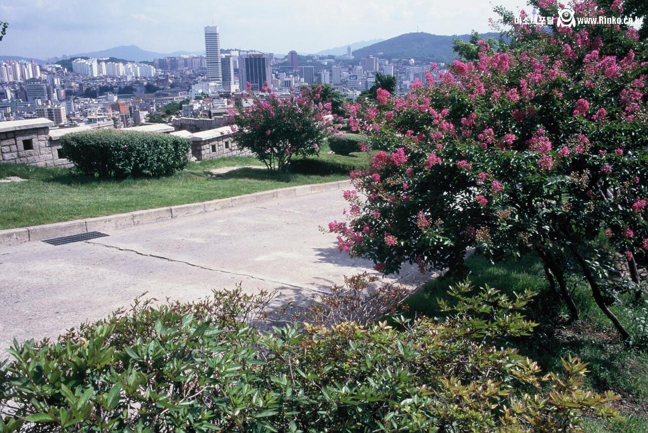 1999년 세기말 서울의 모습들