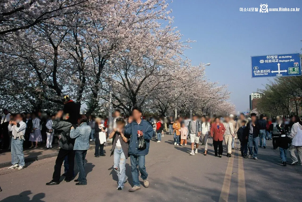 1999년 세기말 서울의 모습들