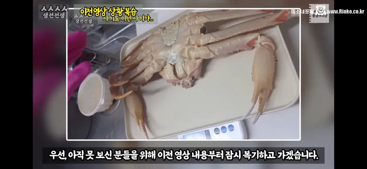 이래도 소래포구종합어시장을 간다? 그건 공범이란 소리