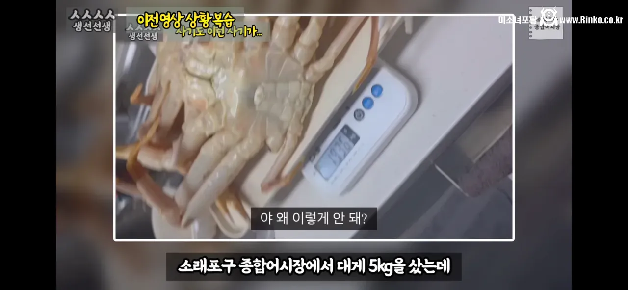 이래도 소래포구종합어시장을 간다? 그건 공범이란 소리