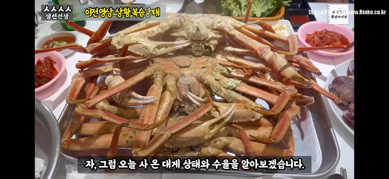 이래도 소래포구종합어시장을 간다? 그건 공범이란 소리