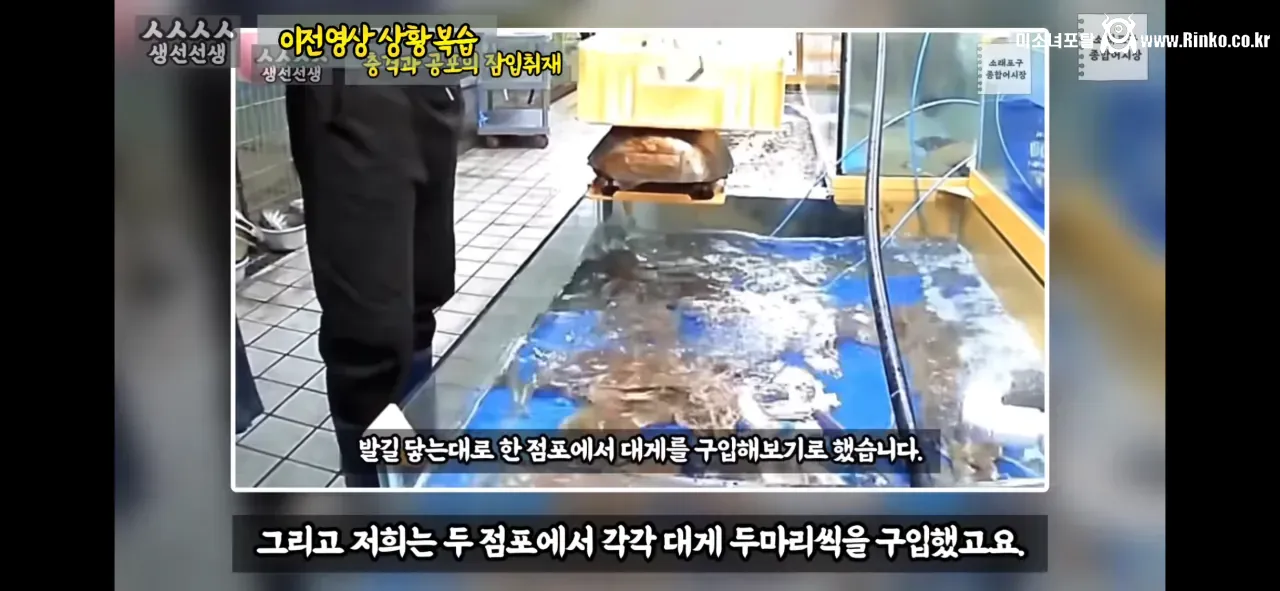 이래도 소래포구종합어시장을 간다? 그건 공범이란 소리