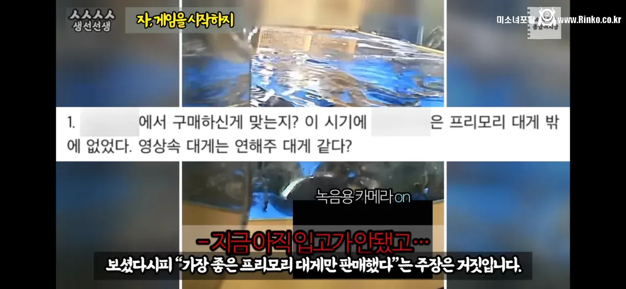 이래도 소래포구종합어시장을 간다? 그건 공범이란 소리