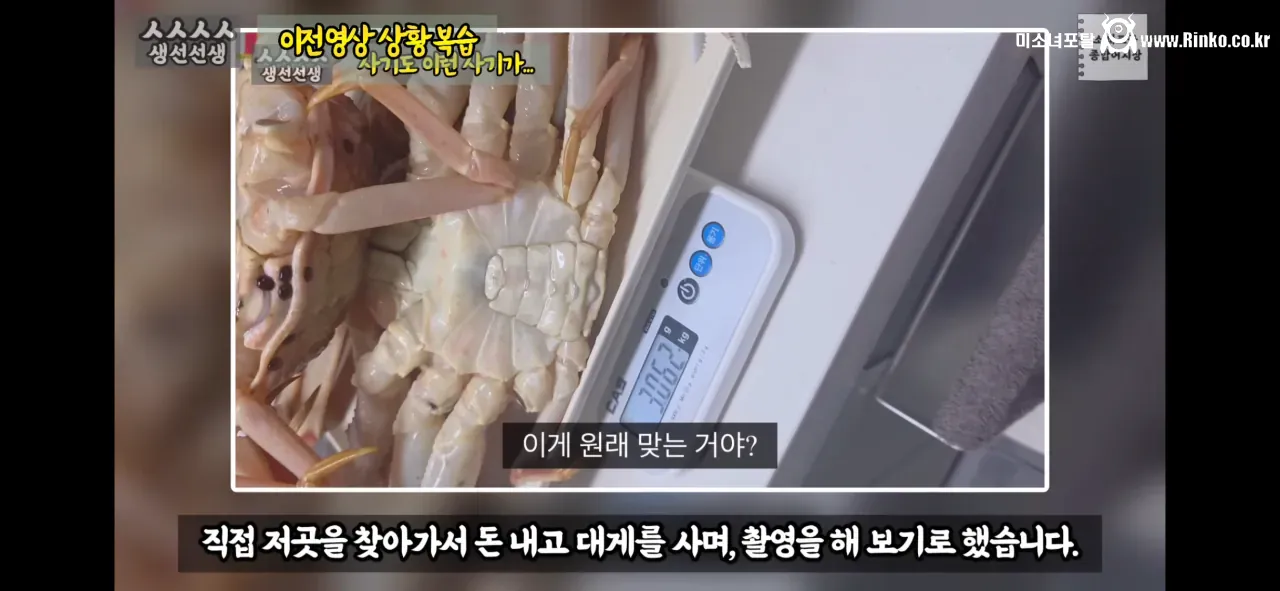 이래도 소래포구종합어시장을 간다? 그건 공범이란 소리