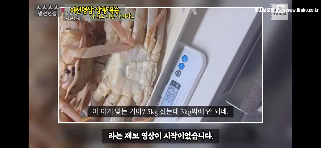 이래도 소래포구종합어시장을 간다? 그건 공범이란 소리