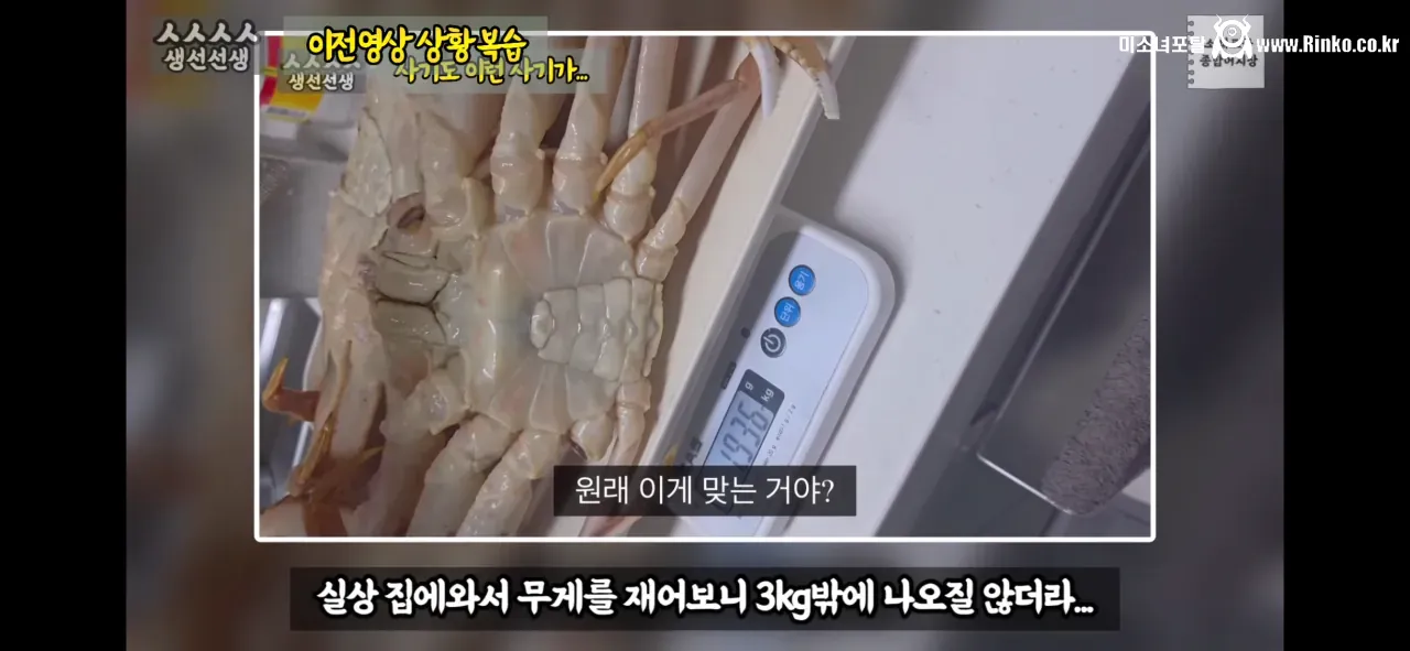 이래도 소래포구종합어시장을 간다? 그건 공범이란 소리