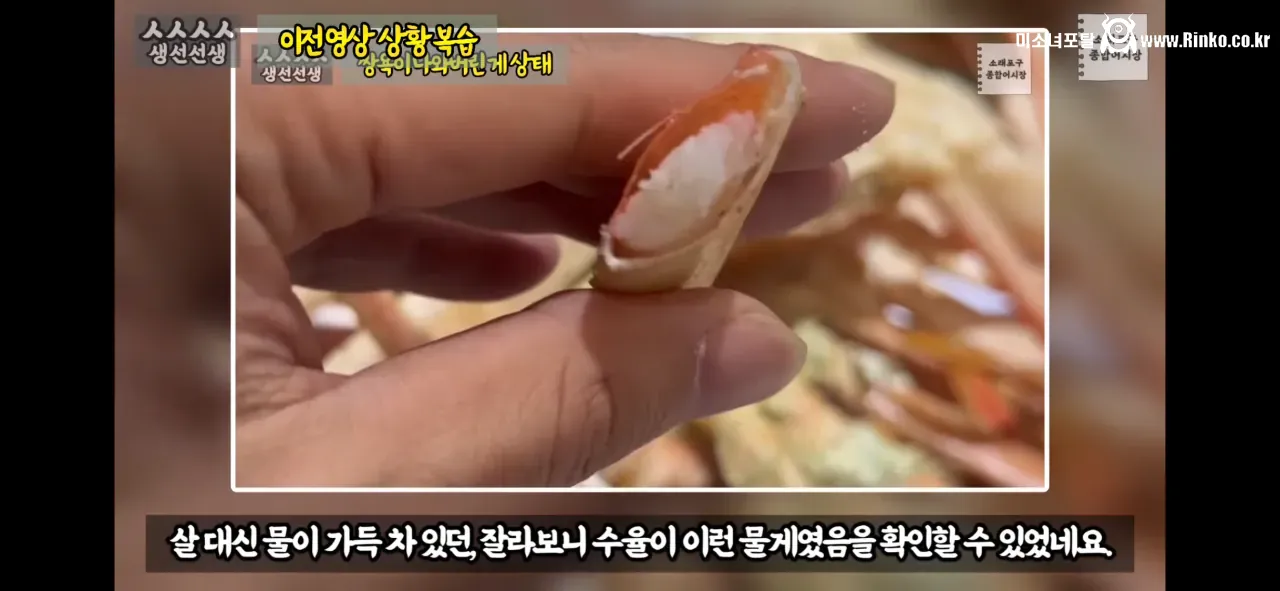 이래도 소래포구종합어시장을 간다? 그건 공범이란 소리