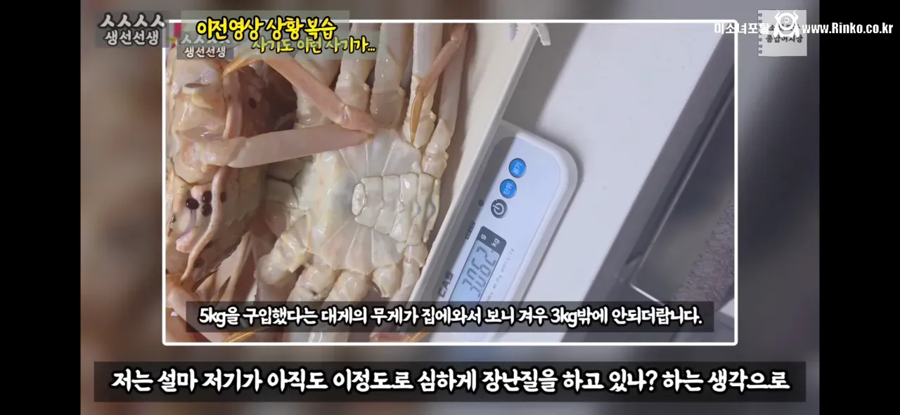 이래도 소래포구종합어시장을 간다? 그건 공범이란 소리