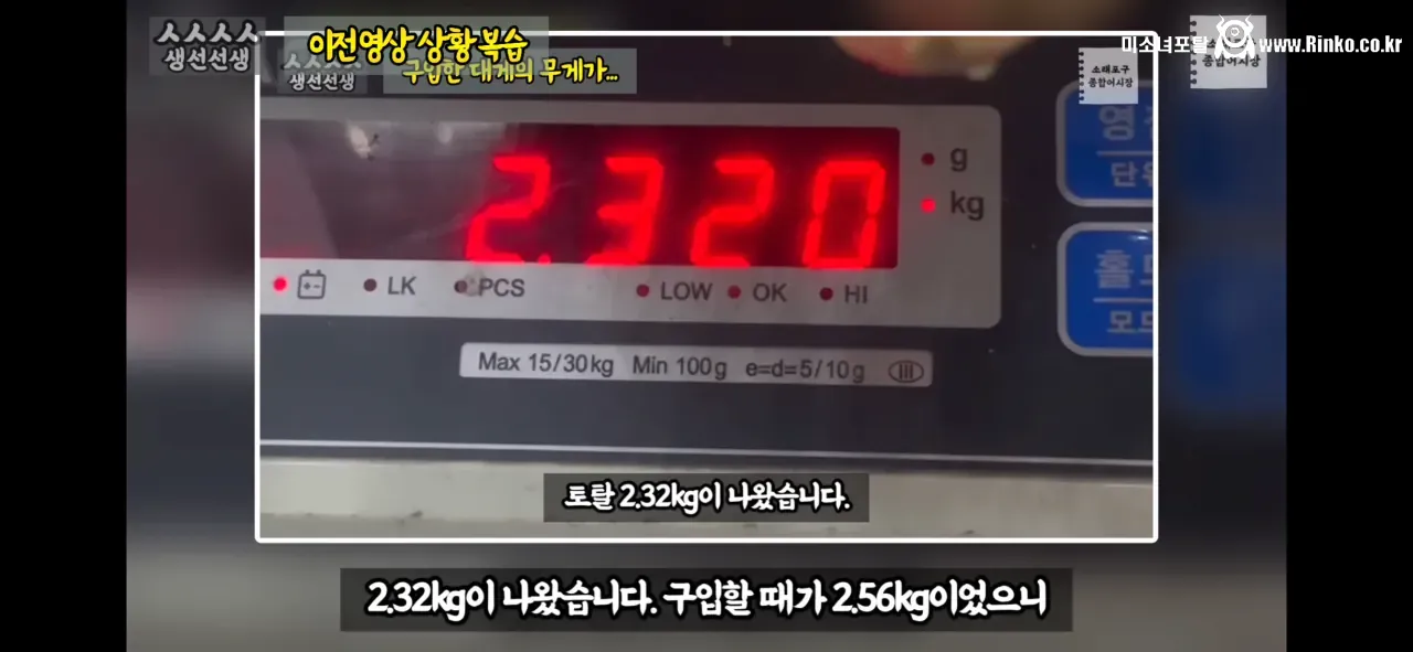 이래도 소래포구종합어시장을 간다? 그건 공범이란 소리