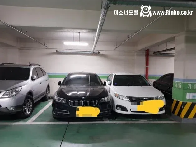 거의 과학급이라는 BMW 차주 주차 특징