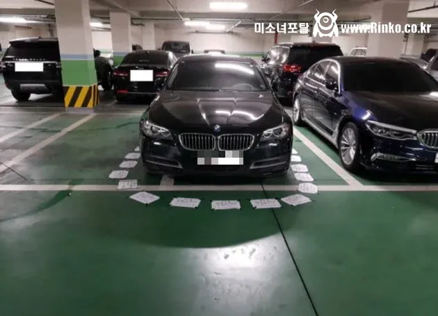 거의 과학급이라는 BMW 차주 주차 특징