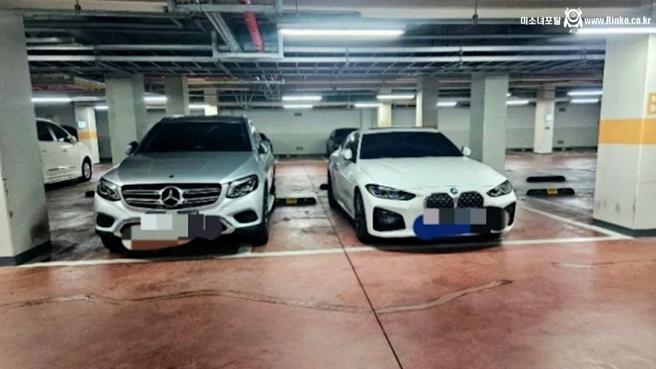 거의 과학급이라는 BMW 차주 주차 특징