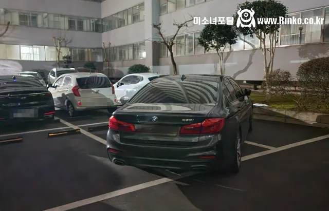 거의 과학급이라는 BMW 차주 주차 특징