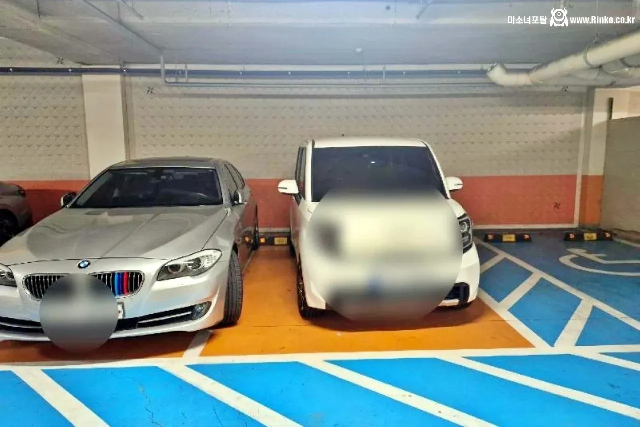 거의 과학급이라는 BMW 차주 주차 특징
