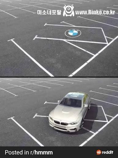 거의 과학급이라는 BMW 차주 주차 특징