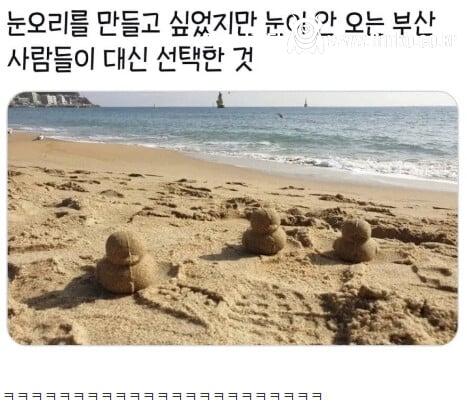 부산 다이소에 판다는 용도불명의 물건