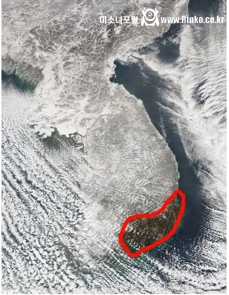 부산 다이소에 판다는 용도불명의 물건