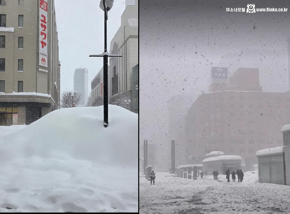 현재 큰일났다는 삿포로 여행