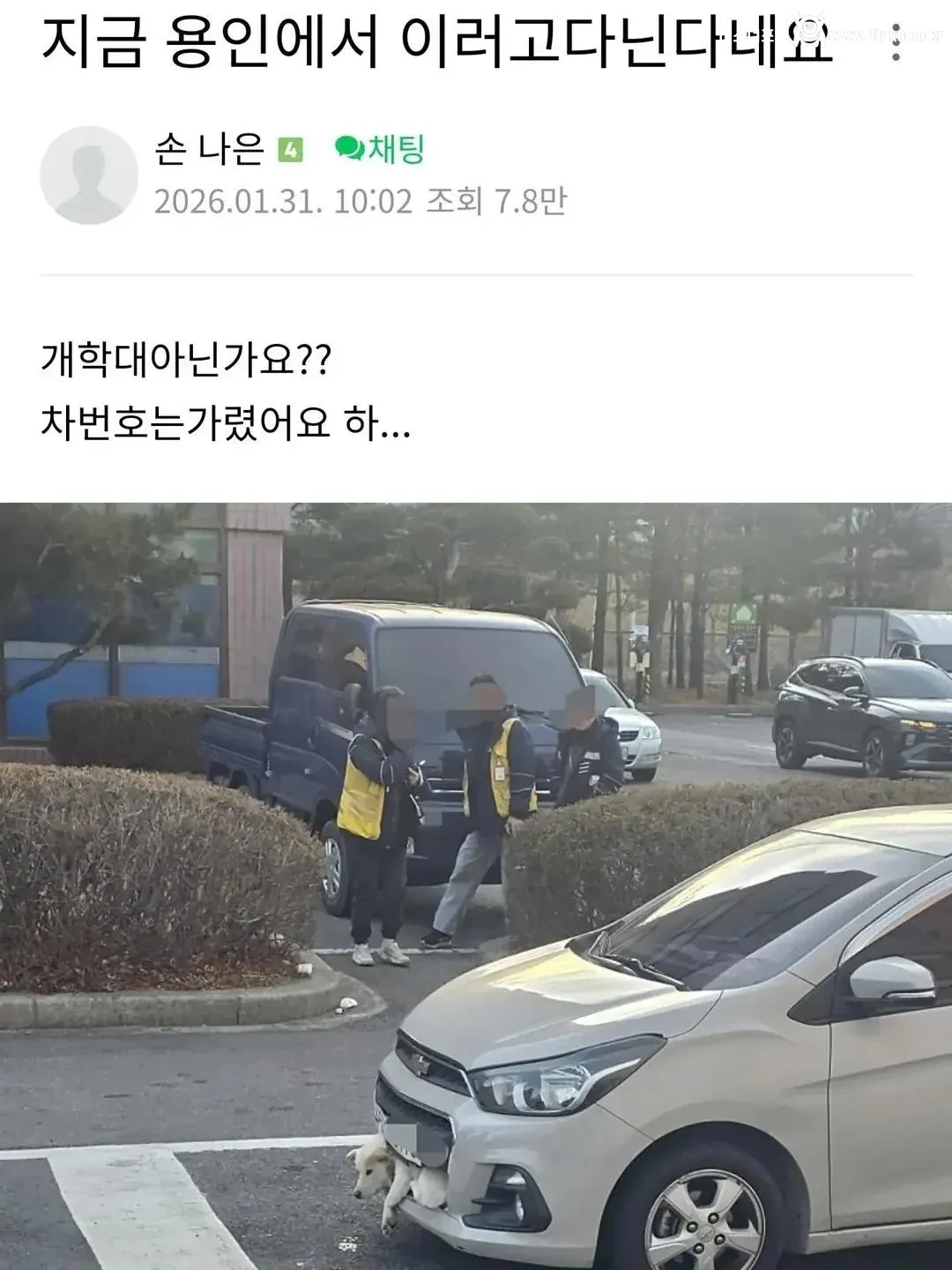 용인에서 스파크 앞범퍼에 강아지 끼인 채 주행 ㄷㄷㄷ;;