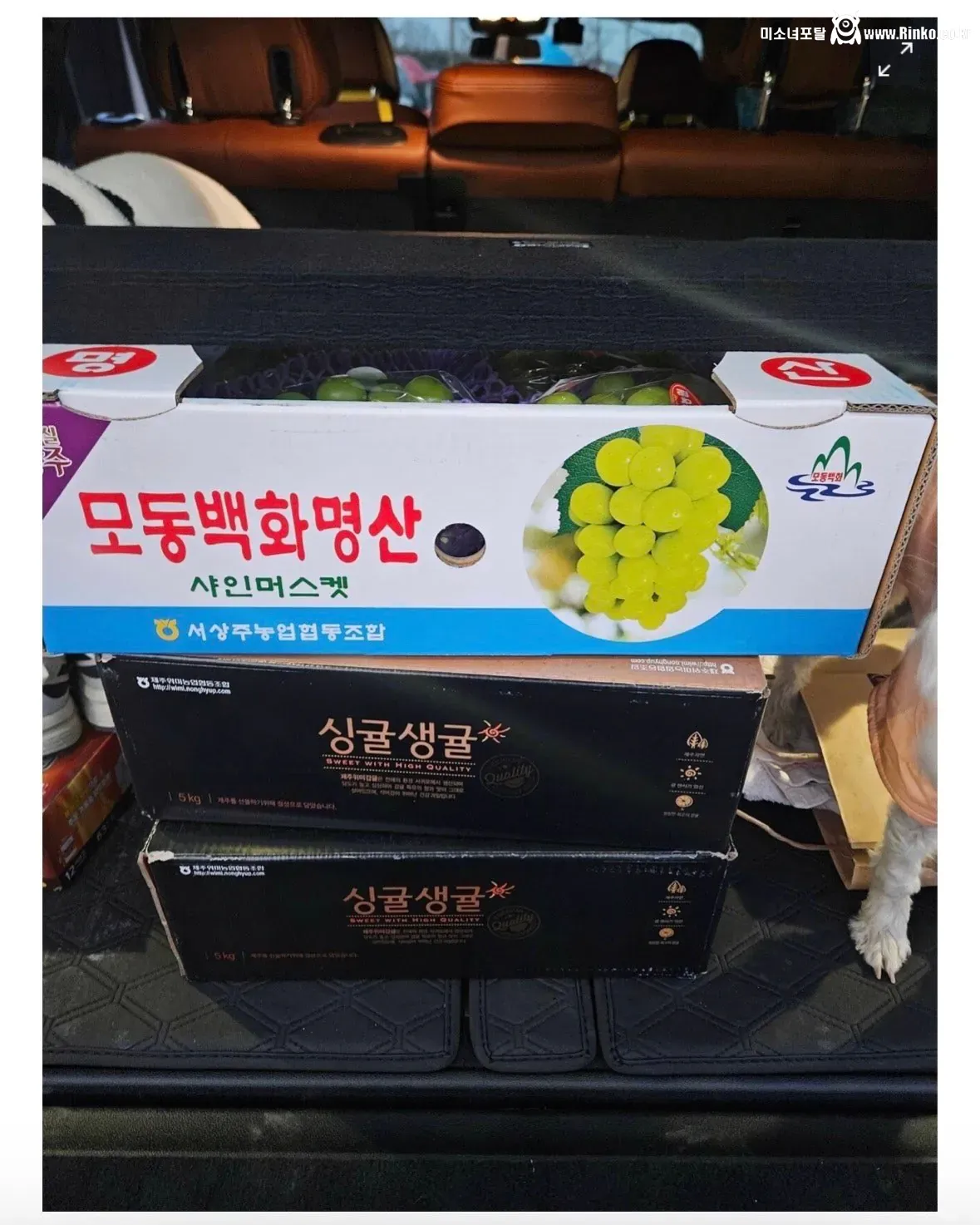 돈 벌고 많이 썼다고 자랑하는 하이닉스 직원