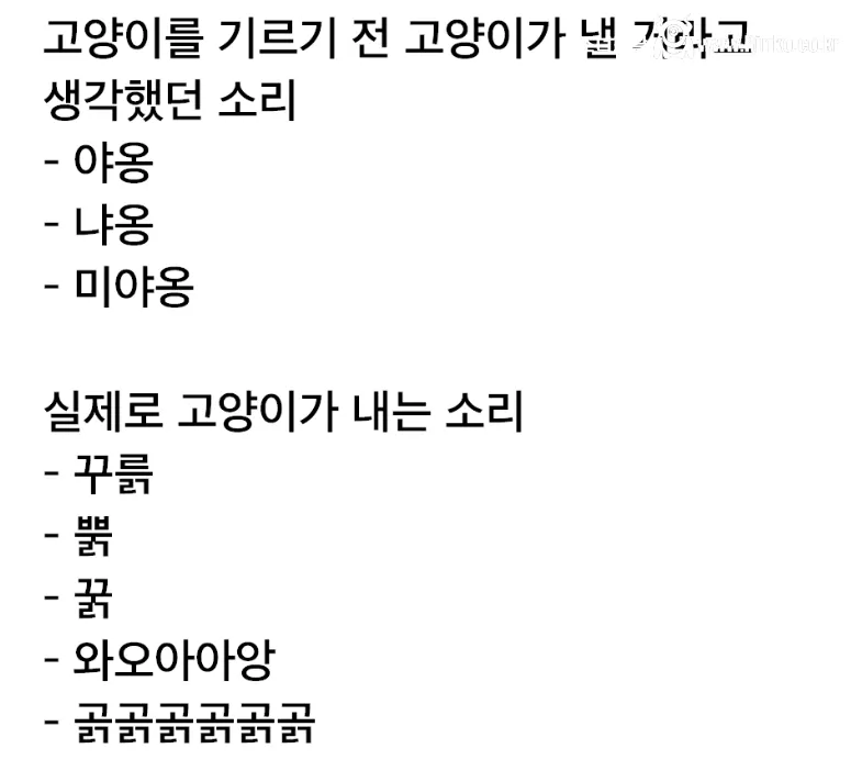 고양이 키우는 사람들 공감 ㄹㅇ