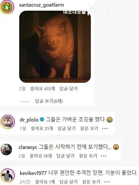 인스타에서 조롱받고 있는 여경들 ㅋㅋ